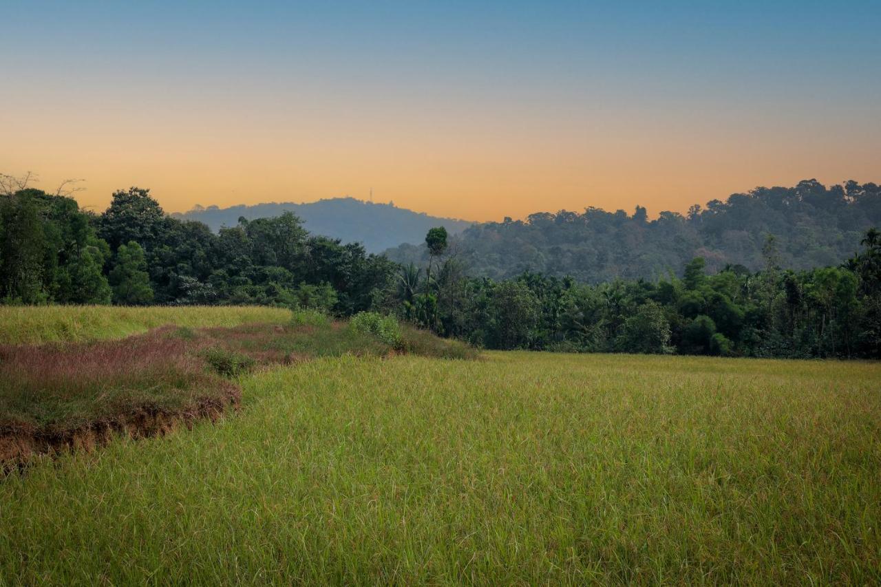 Prakruthi *