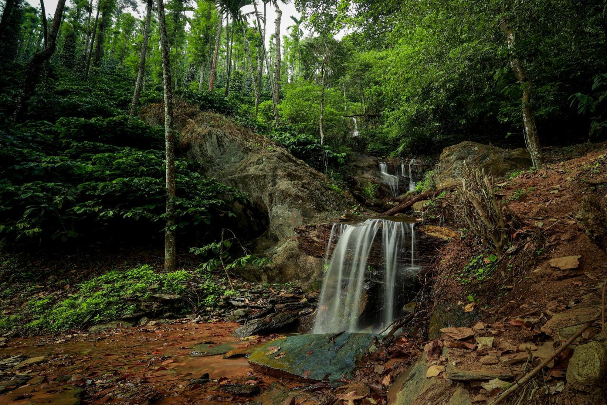 Prakruthi Sollebail