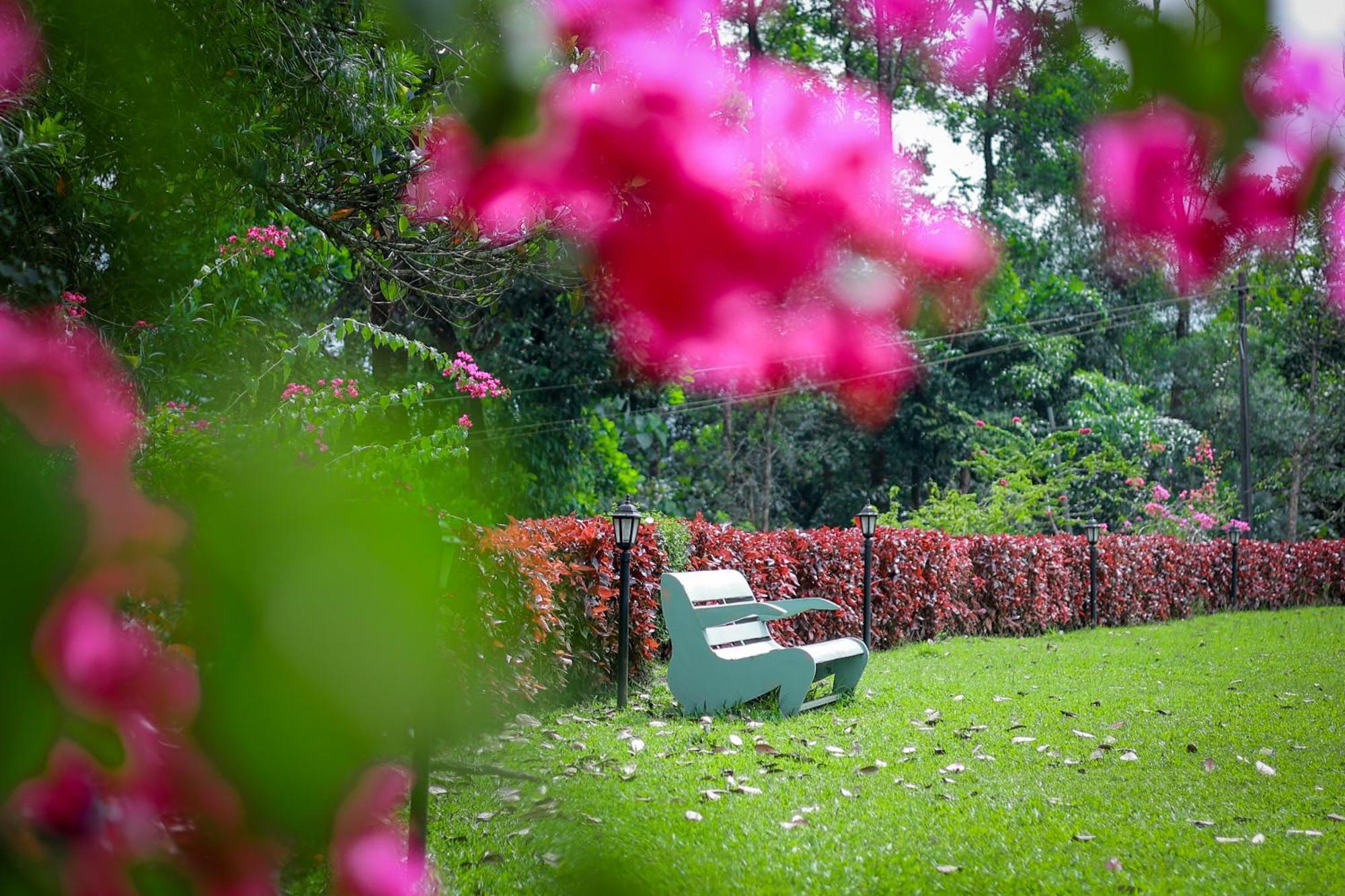 Homestay Prakruthi *